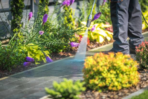 Best Patio and Deck Pressure Washing  in Atlanta, IL